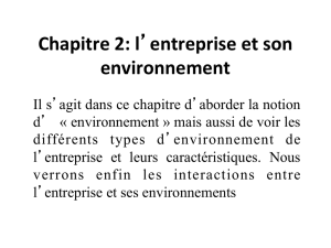 Chapitre 2: l`entreprise et son environnement