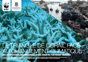 LE TRIANGLE DE CORAIL FACE AU CHANGEMENT CLIMATIQUE :