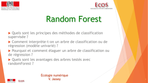 Chapitre 4 - Random Forest Fichier