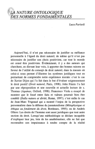 la nature ontologique des normes fondamentales