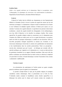 Fichier PDF de la synthèse