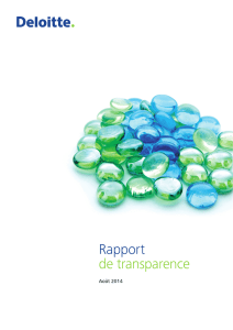 Rapport de transparence
