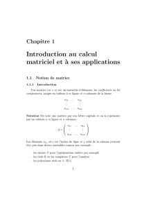 Introduction au calcul matriciel et `a ses applications