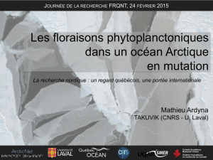 Floraisons phyloplanctoniques dans un océan Arctique en
