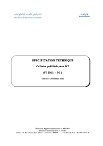 SPECIFICATION TECHNIQUE ST D61 - P61