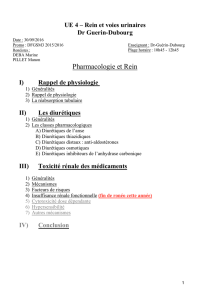 Pharmacologie et Rein