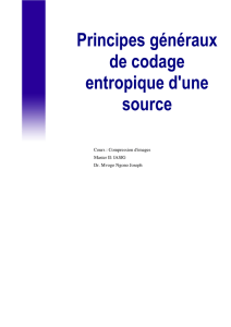 Principes généraux de codage entropique d`une