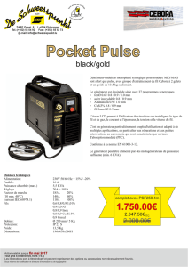 Pocket Pulse - De Schweesspunkt
