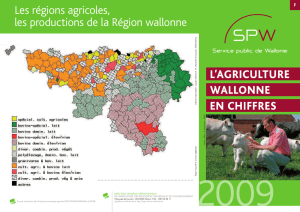 Les régions agricoles, les productions de la Région wallonne L