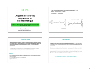 L6_ASB_2_algorithmes_ARN