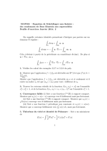MAT561 – Equation de Schrödinger non linéaire : des condensats