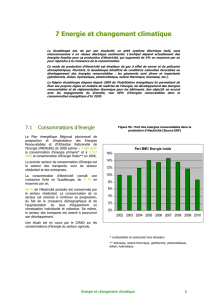 Chapitre 7 : l`énergie et le changement climatique.