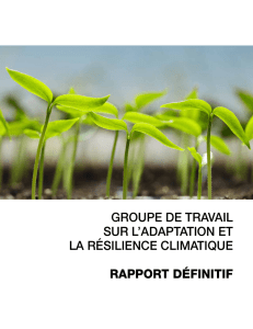 Rapport du Groupe de travail sur l`adaptation et la résilience
