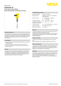 Data sheet - VEGACAP 62 - Sortie électronique statique Sonde tige