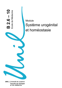 Système urogénital et homéostasie