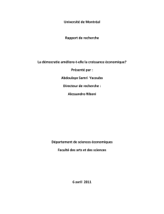 rapport de recherche - Papyrus : Université de Montréal