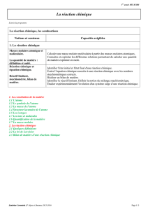 la_reaction_chimique ( PDF - 40.2 ko)