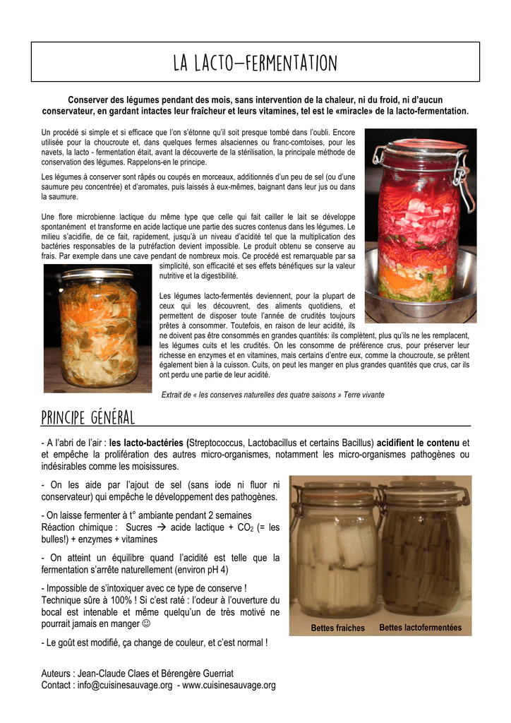 La lacto-fermentation - 002227235 1 67D8953a1bcec2162874cb7e5a583De7