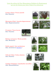 Liste des arbres du Parc Monseigneur Rodhain de Remiremont qui