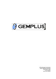 rapport GEMPLUS