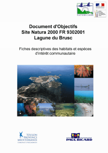 Télécharger le Document d`Objectif Natura 2000 - Ville de Six