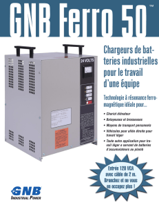 GNB® FER50 Chargeures de batteries industrielles pour le travail d