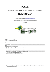 E-Gab RobotCoco1 - Centrale Marseille