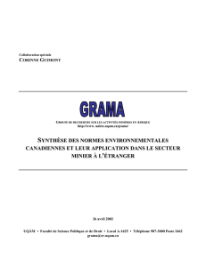 Synthèse des normes environnementales - IEIM-UQAM
