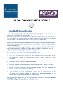 bac+4 communication digitale