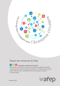 Rapport Afep Economie circulaire