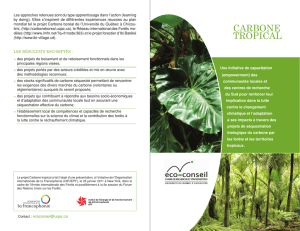 projet Carbone tropical - IFDD - Organisation internationale de la