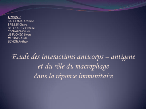 interraction anticorps antigène ( PDF