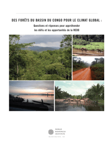 des forêts du bassin du congo pour le climat global