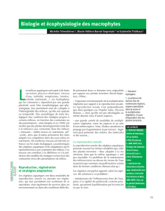 Biologie et écophysiologie des macrophytes