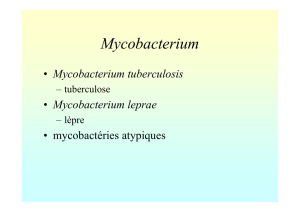 (Microsoft PowerPoint - Mycobact\351ries.ppt [Read