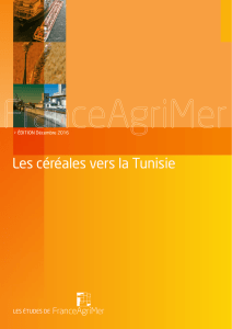 Les céréales vers la Tunisie