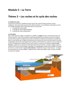 Module 5 – La Terre Thème 2 – Les roches et le cycle des roches