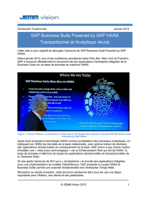 SAP Business Suite Powered by SAP HANA