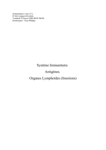Système Immunitaire. Antigènes. Organes Lymphoïdes (fonctions)