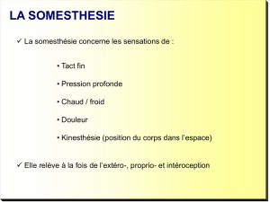 3_somesthesie_grpD2_12