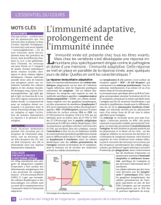 L`immunité adaptative, prolongement de l`immunité innée