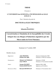 Caractérisation et Simulation de la Susceptibilité des Circuits