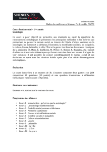 Syllabus, pdf - Sciences Po Grenoble