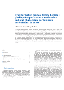 Transformation génitale femme-homme : phallopoièse par lambeau