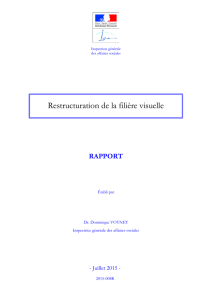 Restructuration de la filière visuelle