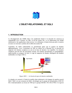 13.L`Objet Relationnel et SQL3