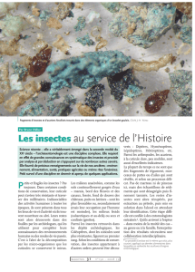 Les insectes au service de l`histoire / Insectes n° 150