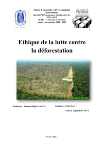 Ethique de la lutte contre la déforestation