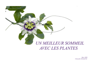 un meilleur sommeil avec les plantes