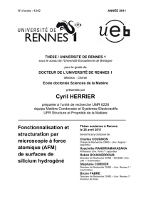 Cyril HERRIER - Université de Rennes 1